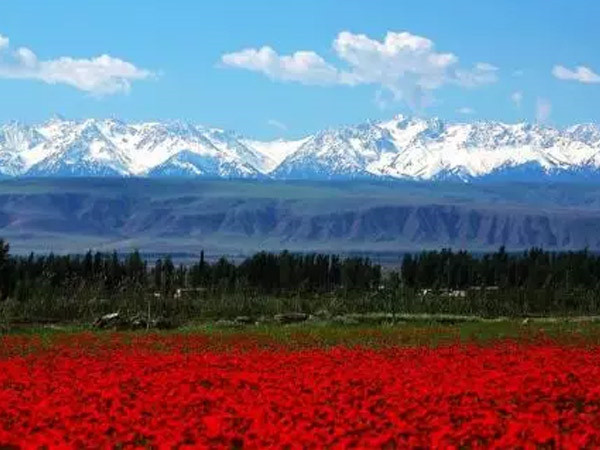 公司工會(huì)領(lǐng)導(dǎo)慰問(wèn)困難職工