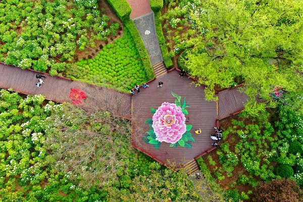 豫見高端，洛賞牡丹，錯(cuò)過(guò)等一年