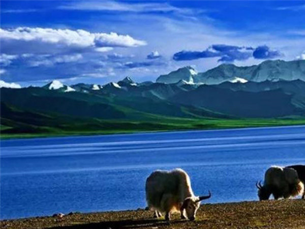 公司成功舉辦“慶元旦、迎新春”長(zhǎng)跑比賽